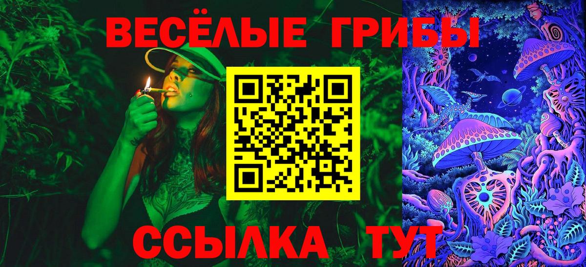 Галлюциногенные грибы Psilocybine cubensis Славянск-на-Кубани