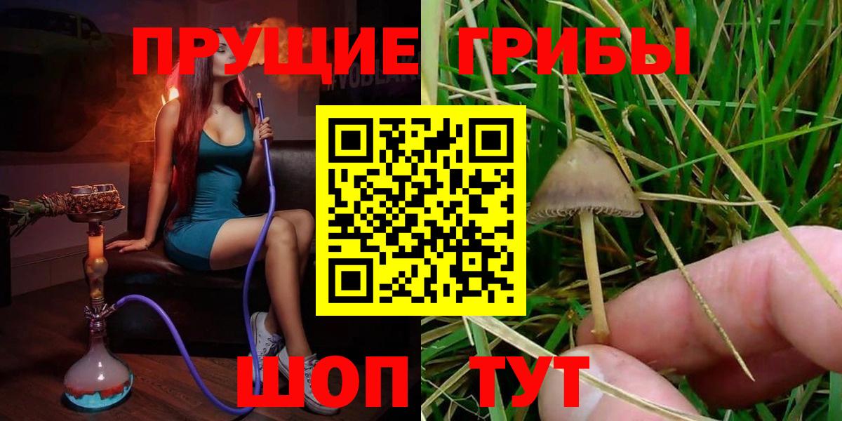 Галлюциногенные грибы MAGIC MUSHROOMS  Псилоцибиновые грибы ЛСД  сколько стоит  Вход с VPN  Славянск-на-Кубани 